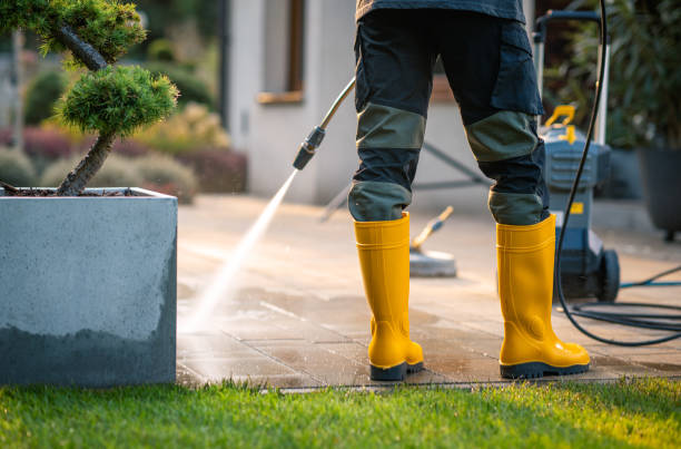 Best Pressure Washing Near Me  in Cadott, WI
